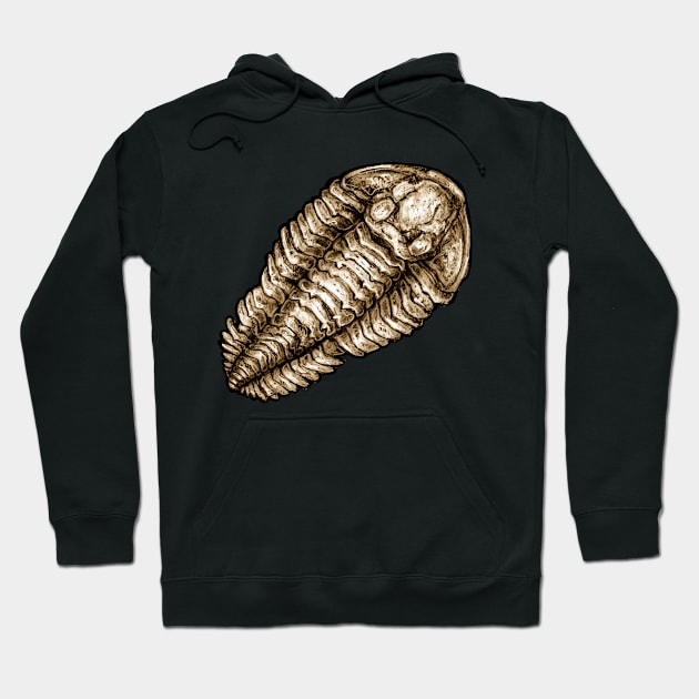 Calymene Trilobite Fossil Sticker Hoodie by CassWArt